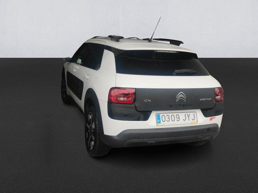 Imagen de CITROEN C4 Cactus