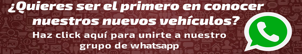 Grupo whatsapp novedades